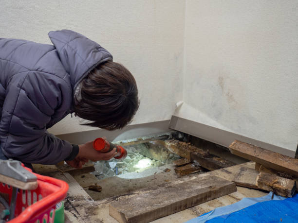 Best Environmental Consulting for Mold Prevention  in Leisure World, MD