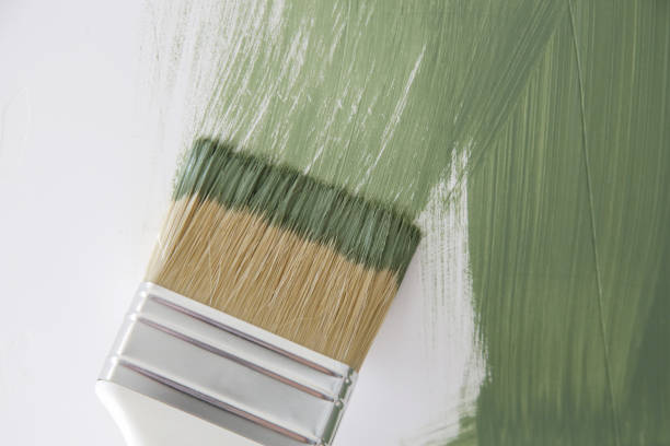 Mold Odor Removal Services in Leisure World, MD