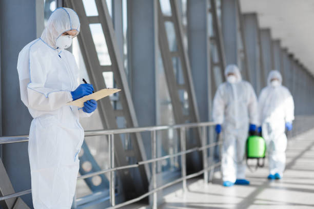 Best Basement Mold Removal  in Leisure World, MD