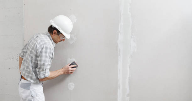 Best Attic Mold Removal  in Leisure World, MD