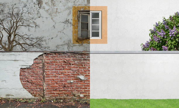 Best Emergency Mold Remediation  in Leisure World, MD