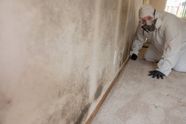 Best Post-Construction Mold Inspection  in Leisure World, MD